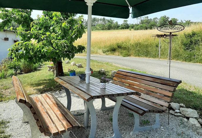 Bild 15