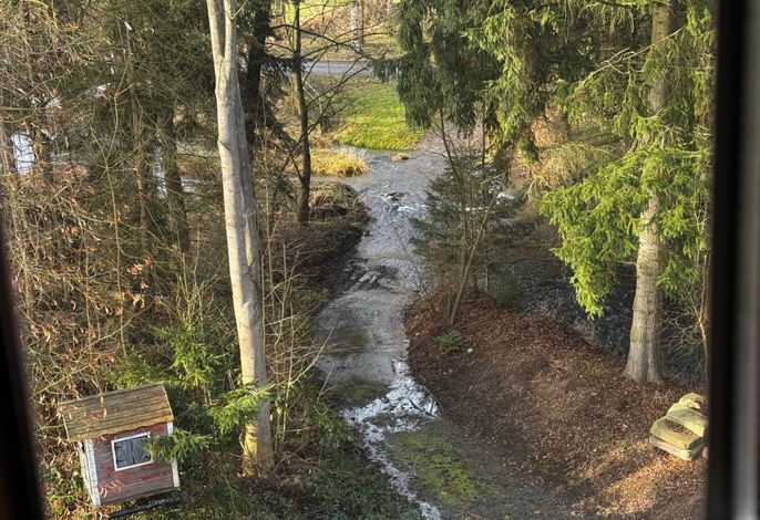 Bild 19
