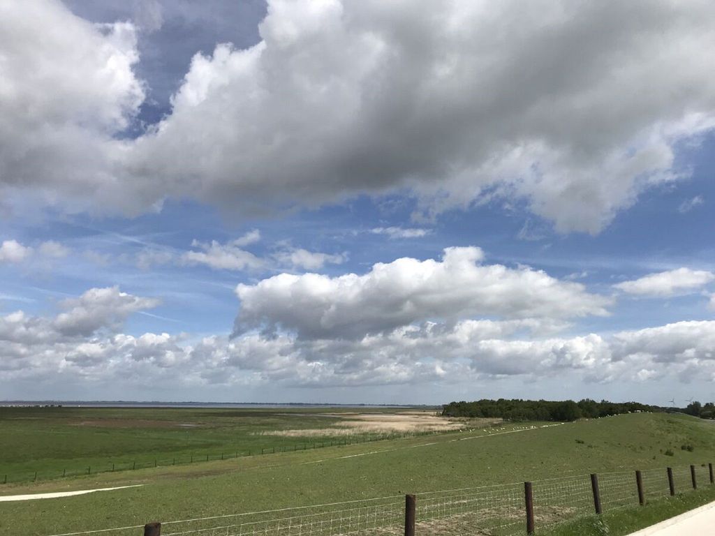 Blick auf das Schwimmende Moor