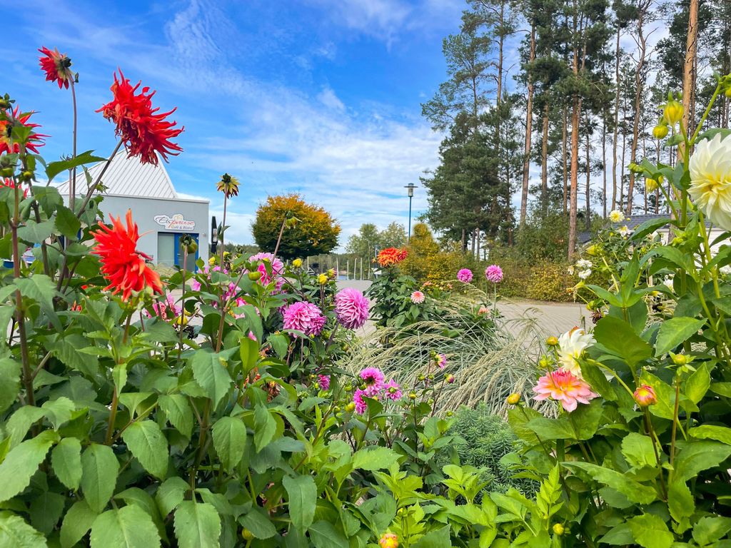 Hafencamp im Herbst