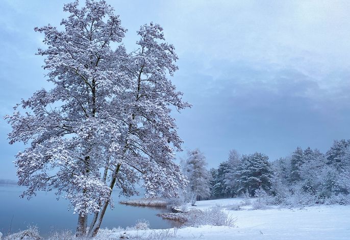 Familienpark Senftenberger See – Foto 4