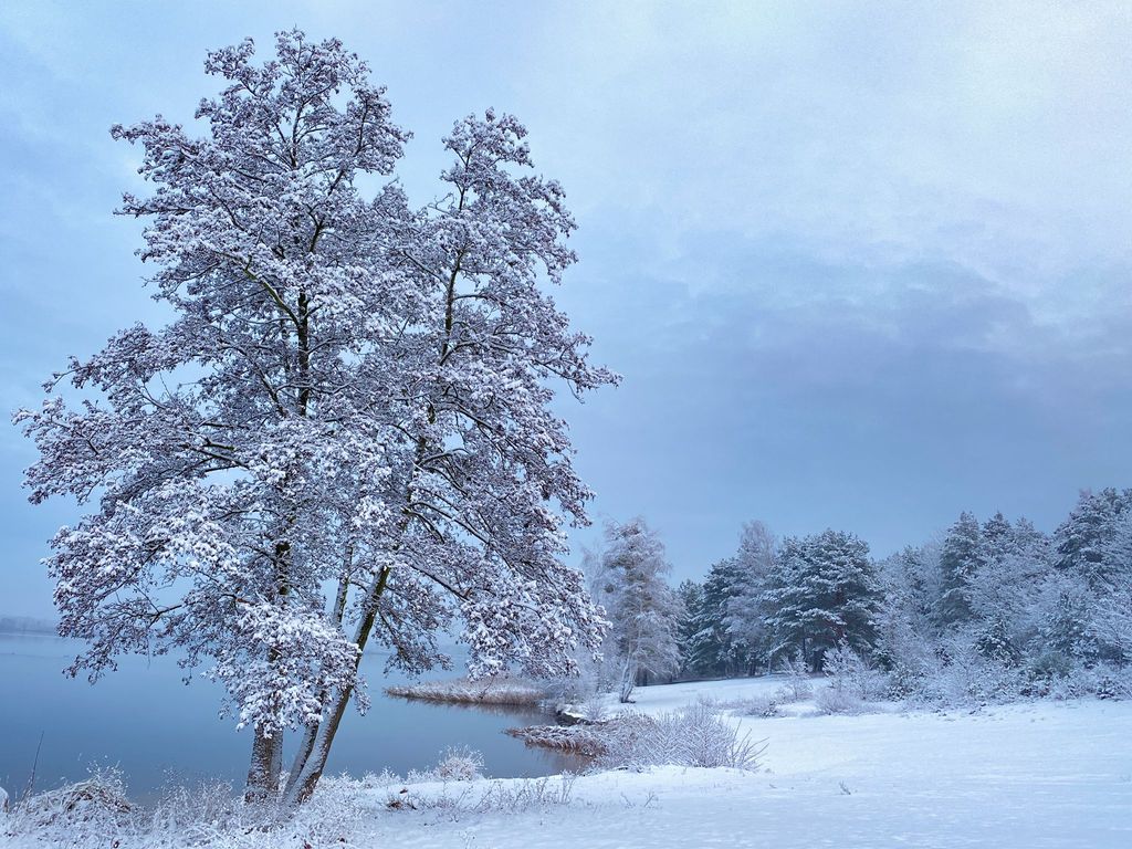 Senftenberger See im Winter