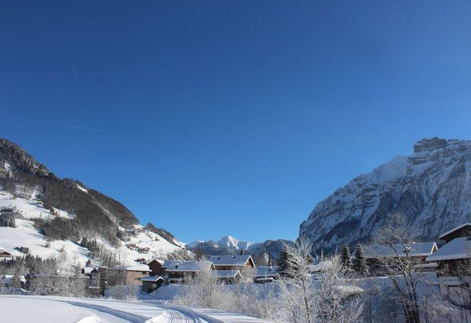 Ferienhaus Alpenflora – Foto 4