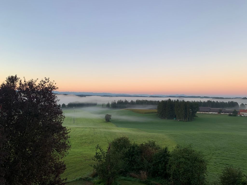 Ausblick