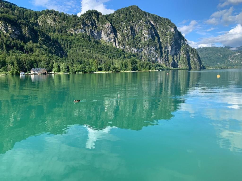 Apartment Seestern Mondsee