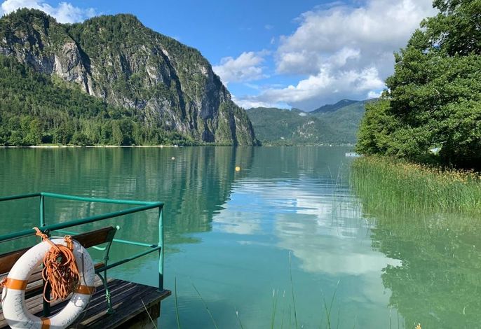 Seestern-Mondsee2