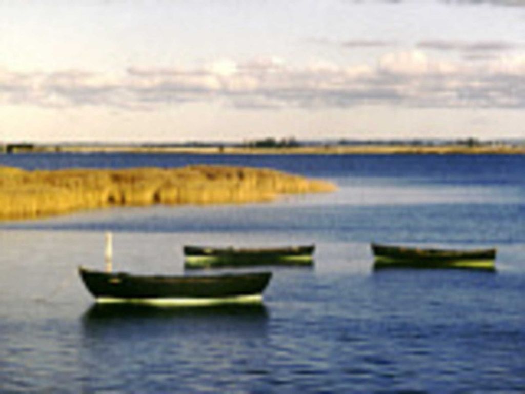 Rügen-Fewo 185