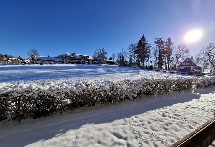 FEWO Harzer Wiesenblick in Hohegeiß, Sauna, bis 2 Hunde wil
