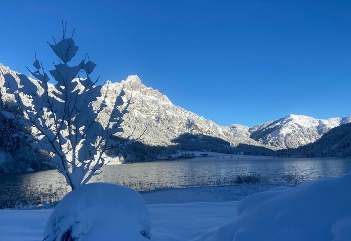 Bild 12