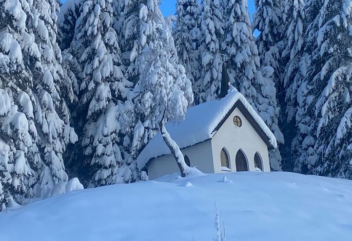 Bild 14