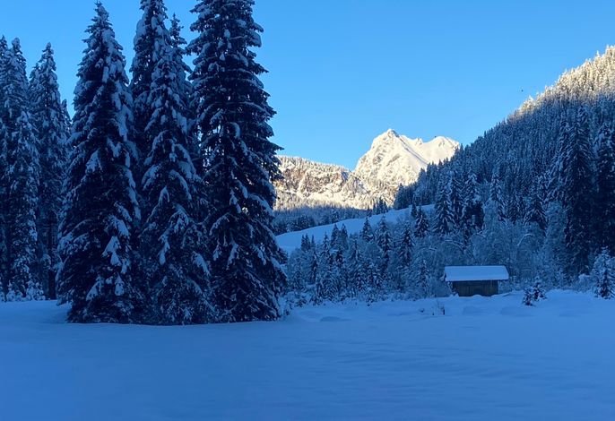 Bild 18