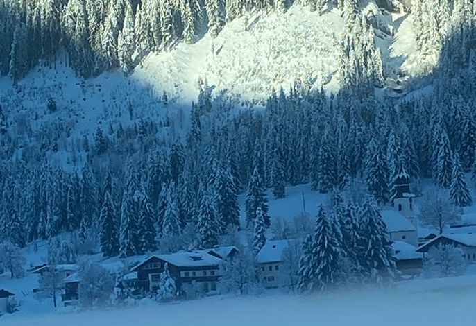 Bild 15