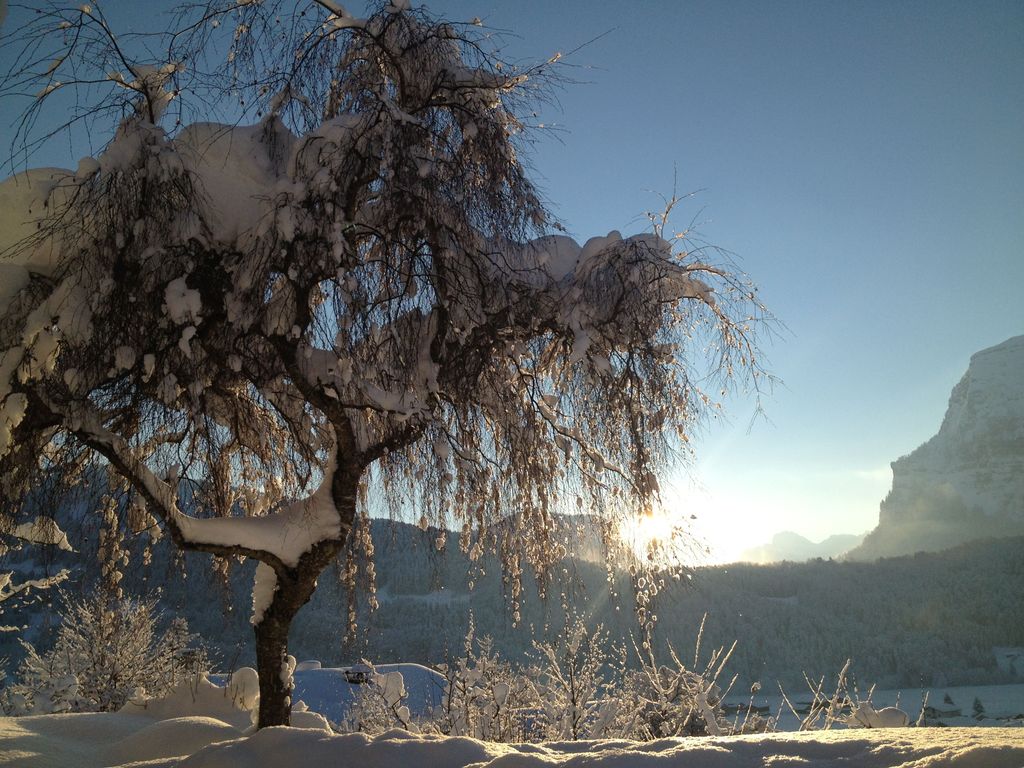 Garten im Winter