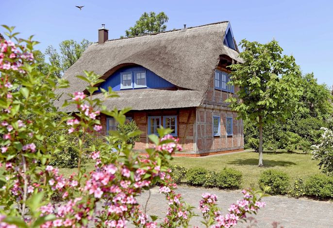 Fachwerkhäuser Gager | Haus 03 | Strate