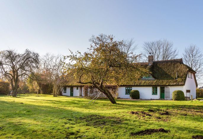 Ferienhaus 2