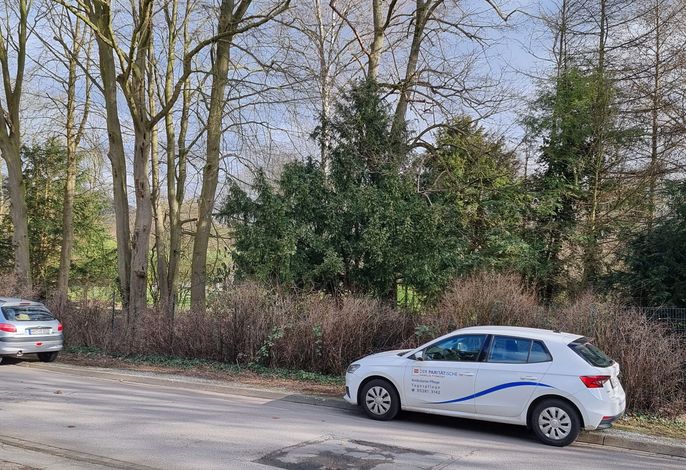 Bild 14