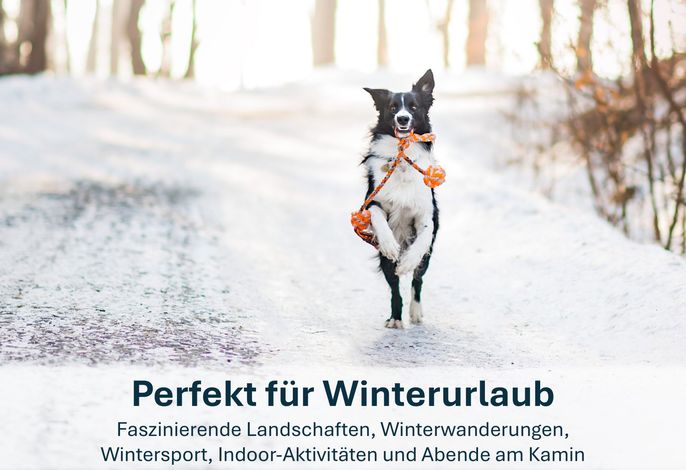 Bild 16