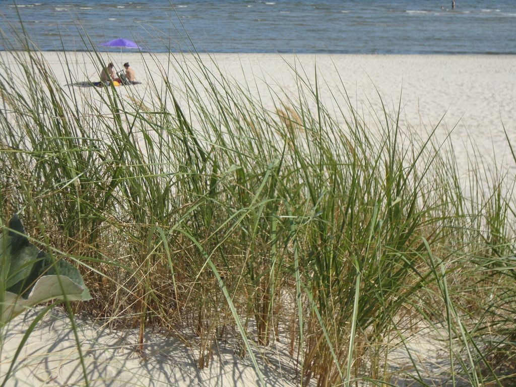 Strandidyll