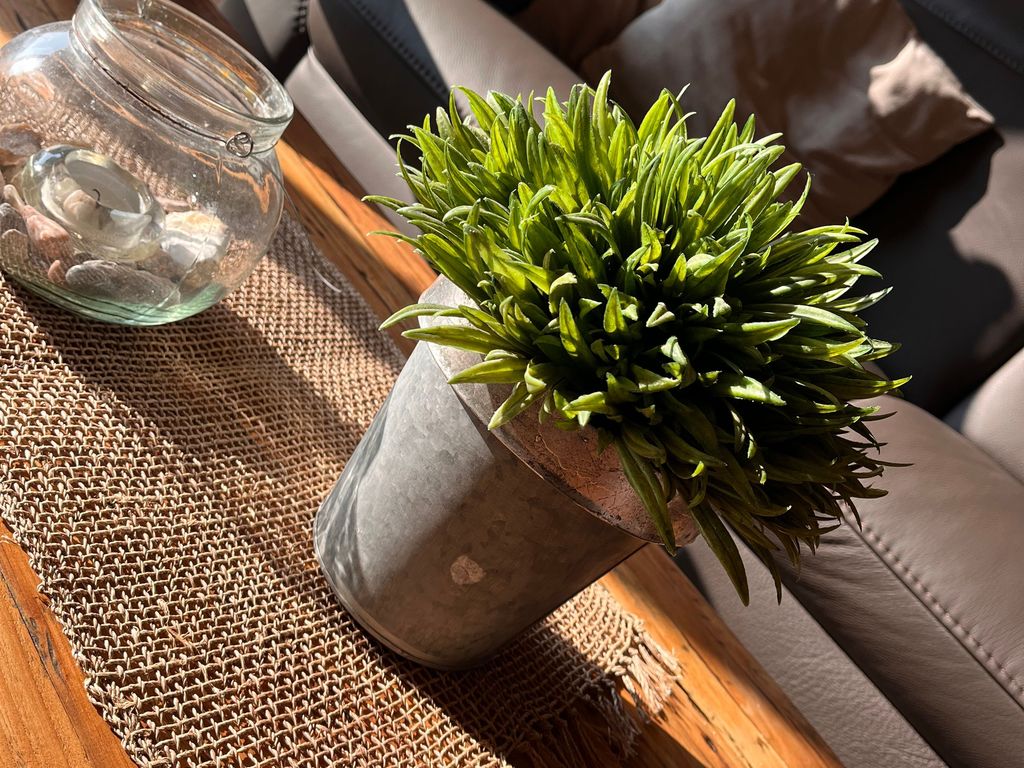 FW Lesecafe - Strandmuschel