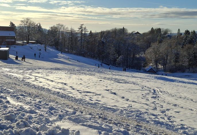 Bild 19