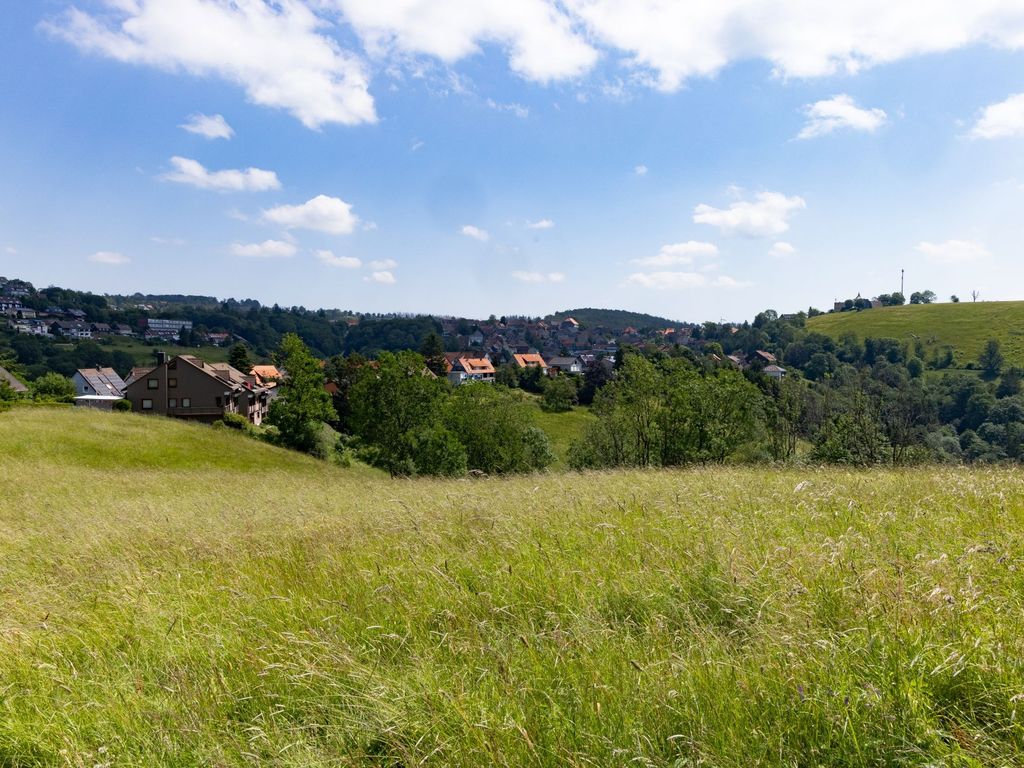 Sicht vom Galgenberg auf die Ferienhausanlage und Sicht auf den Glockenberg
