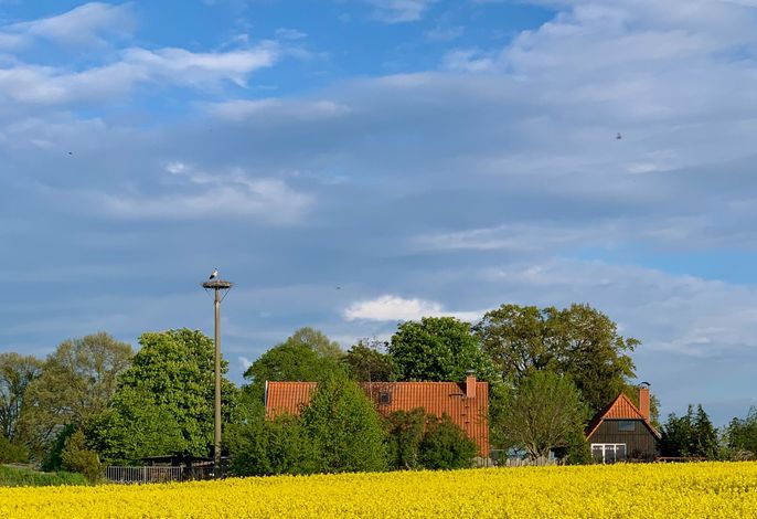 Ferienwohnung Angeln und Segeln