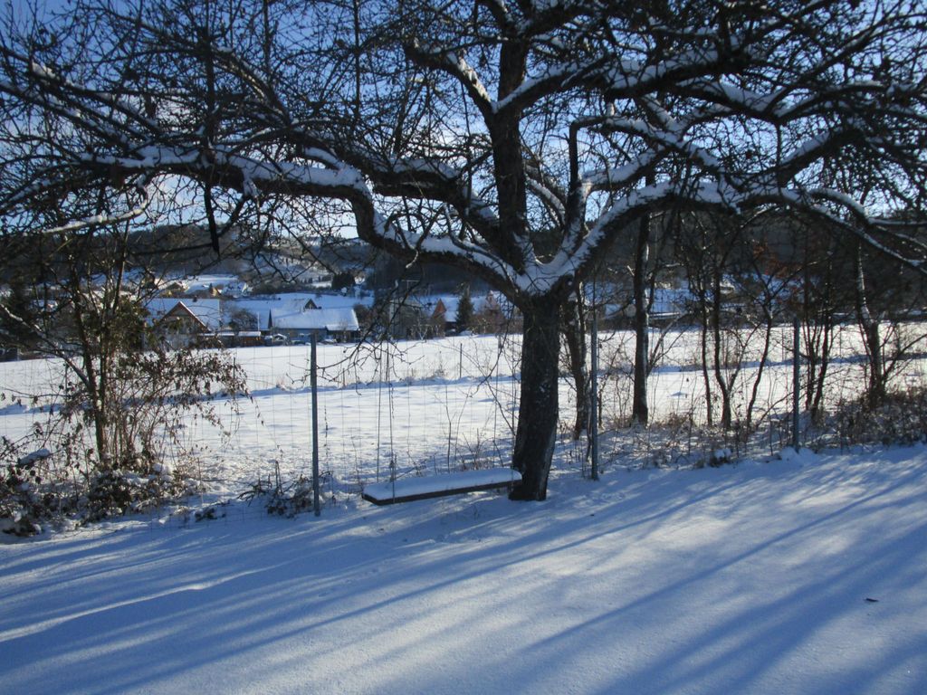 Winterbild