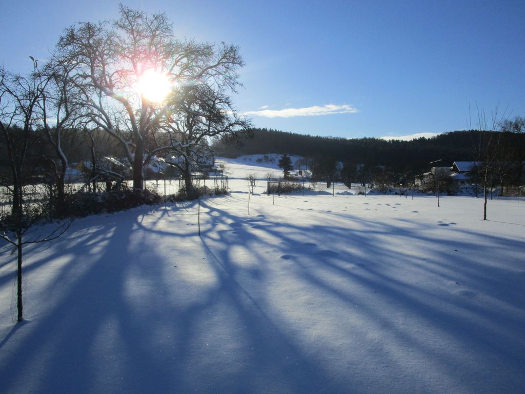 Winterbild