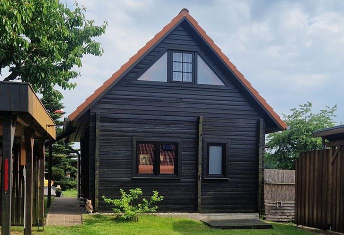 3-Raum-Holzhaus mit Gartenterrasse (70m², max 4 Personen) Bild 2