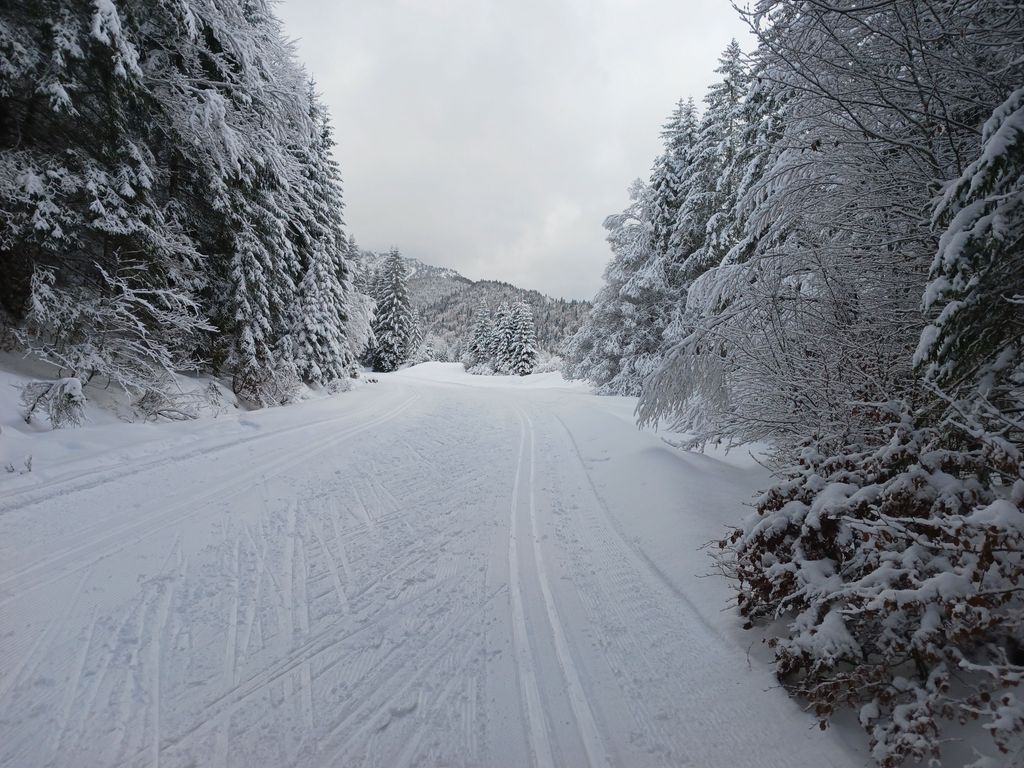 Langlaufloipe Bayrischzell