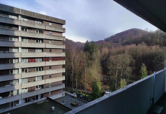 Ferienwohnung Harzverliebt