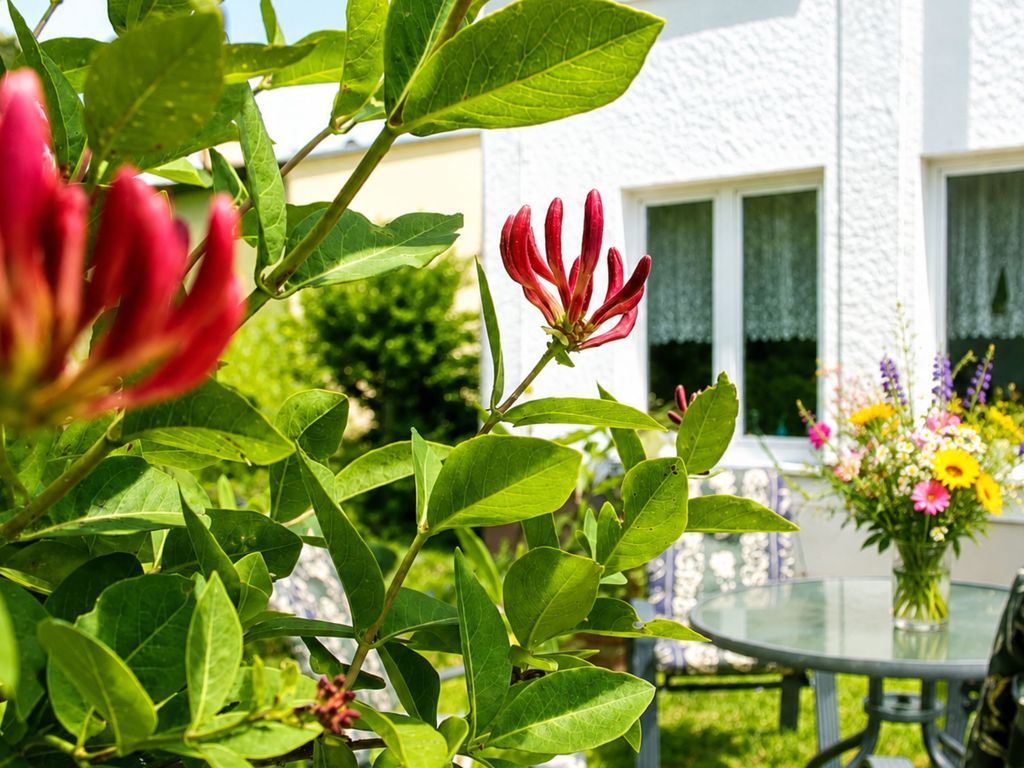 Ferienwohnung mit Balkon am Waldrand im Ostseeland