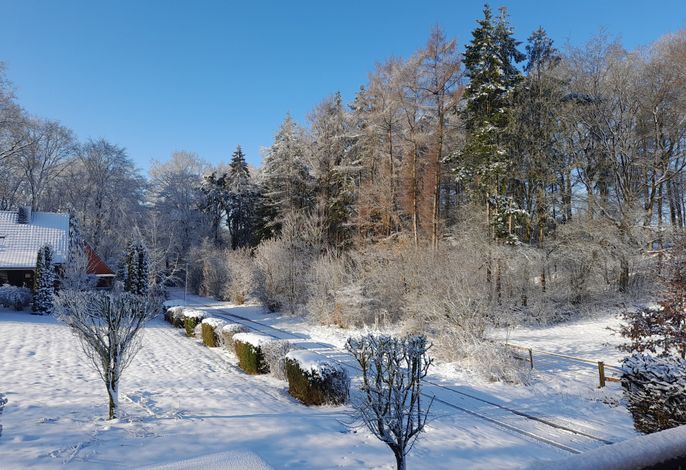 Bild 18