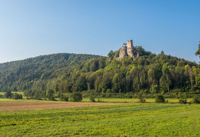 Bild 5