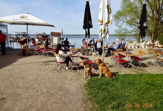 Bild 29