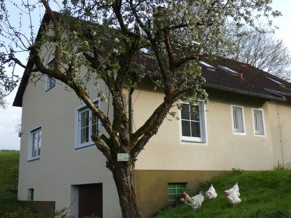 Weisses Huhn grüßt seine Gäste