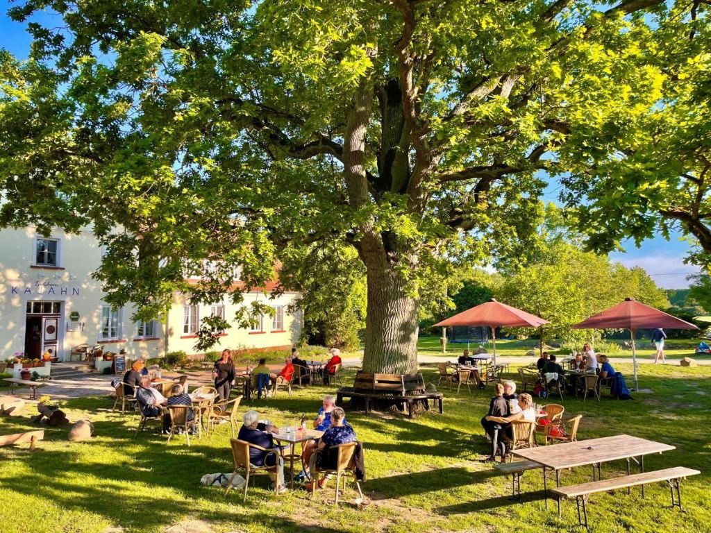 Herzlich willkommen im Gutshaus Kajahn!