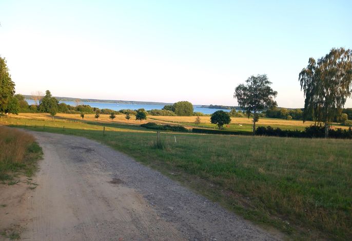 Bild 12