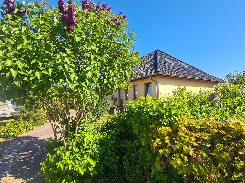 Hecken und Vorgarten zur ruhigen Dorfstraße