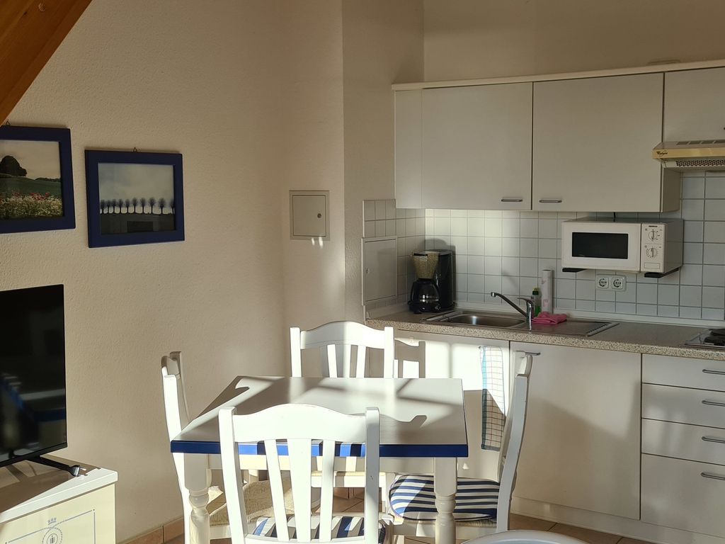Küchenzeile im Wohnraum integriert
