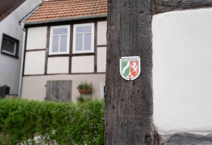 Bild 13