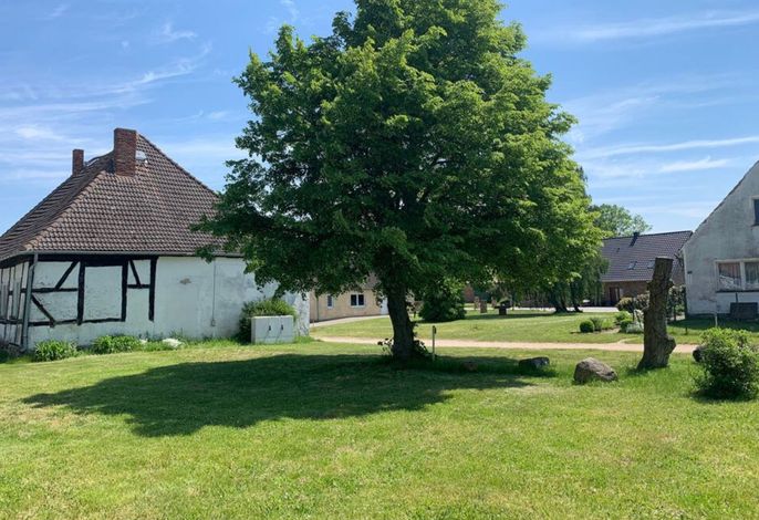 Bild 15