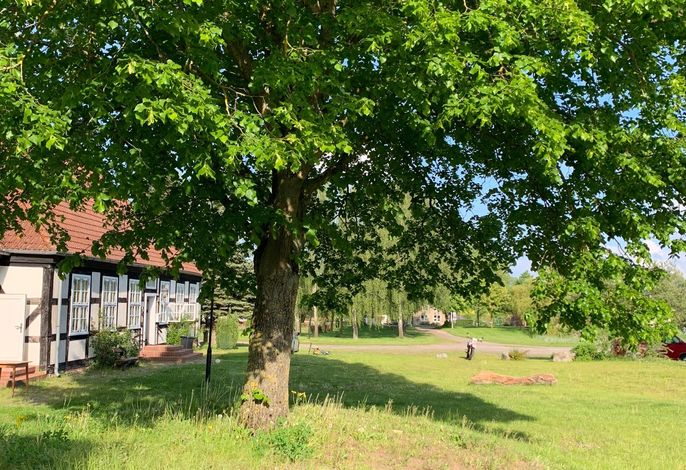 Bild 12