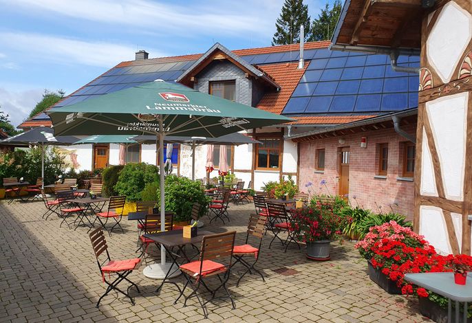 Bild 11
