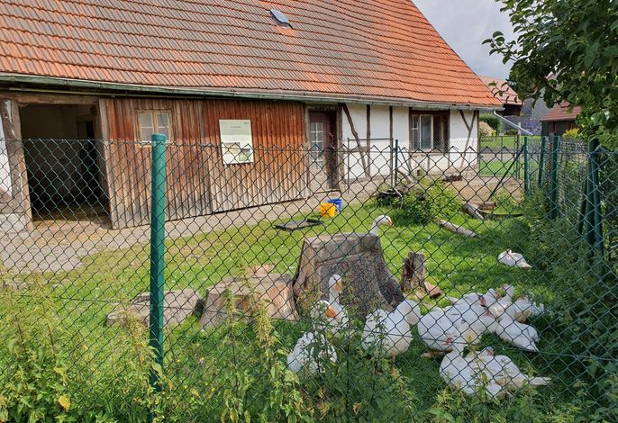 Bild 14