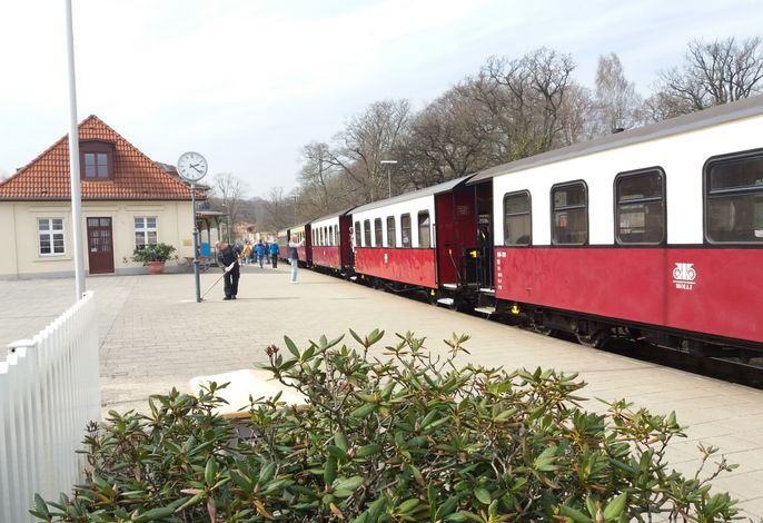 Bild 15