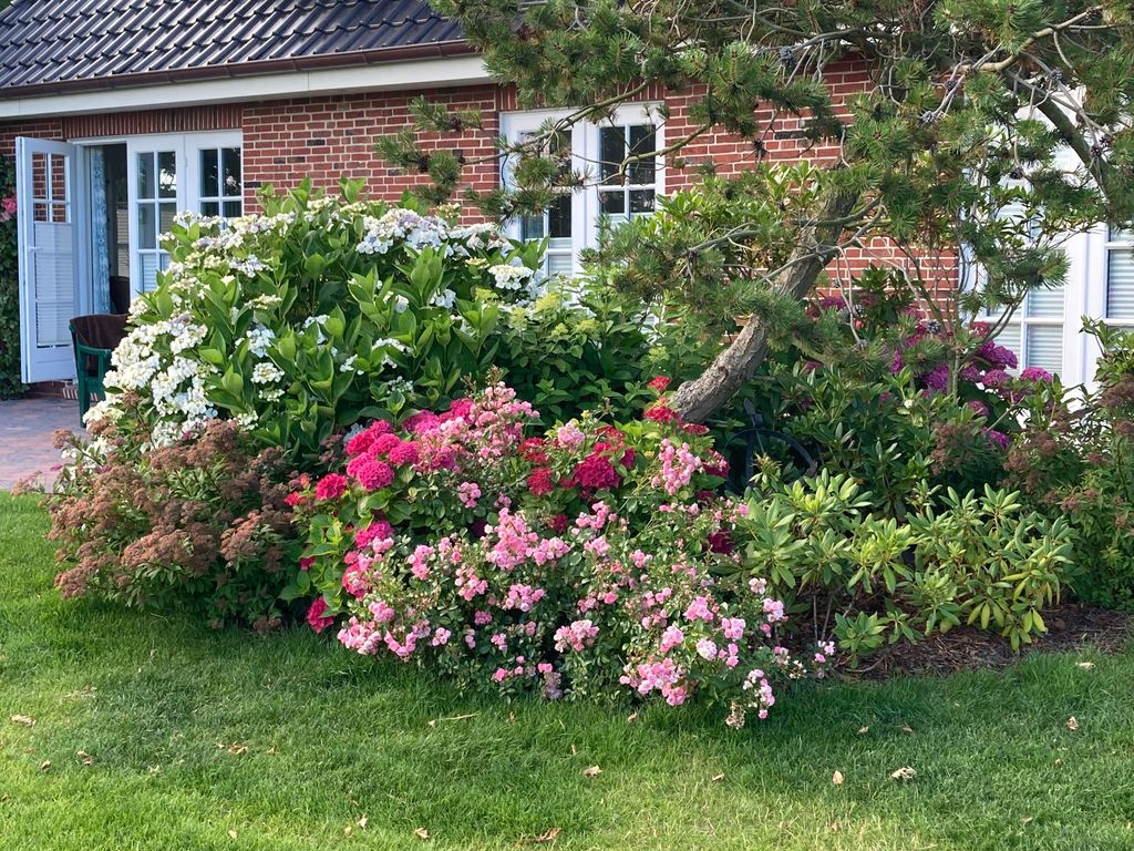Haus Jaardenhuug 40