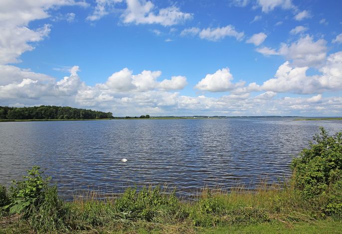 Bild 13