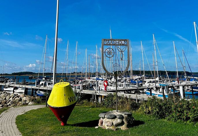 Bild 6