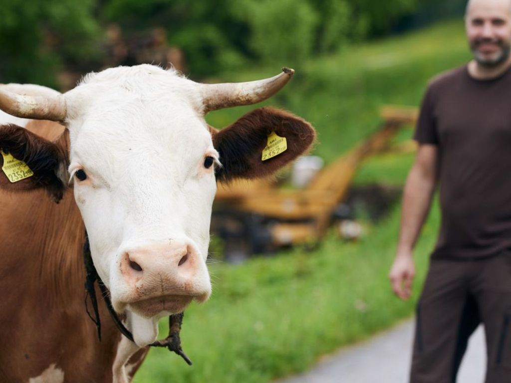 Ferienwohnungen am NaturHof Roithbauer